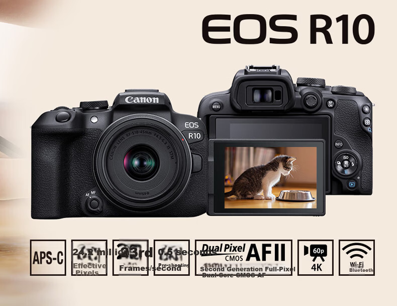 Canon EOS R10 Mirrorless Camera 4K Vlog HD Live Streaming Home Travel Camera RF 50mm F1.8 Portrait Prime Lens Travel Bundle 6