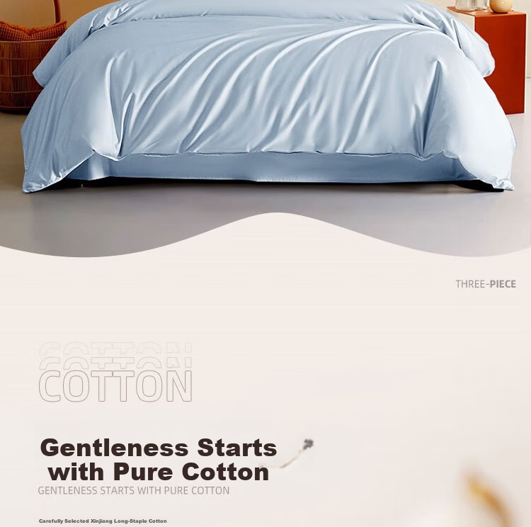 Ranpai, 100% Pure Cotton Duvet Cover Single Piece, 60-Count Light Luxury Long-Staple Cotton Double Quilt Cover, Gray Two-Tone, 220x240cm 2
