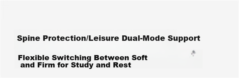 Xige X19ypro Ergonomic Study Chair Desk Chair Computer Chair for High School Students Youth Home Writing Desk Chair 11
