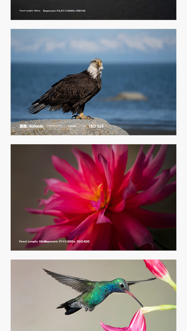 Tamron 50-400mm F/4.5-6.3 Di III VC VXD Stabilized Portrait Concert Super Telephoto Sony Full-Frame Lens (Sony Full-Frame E-Mount) Youth Edition Kit 9