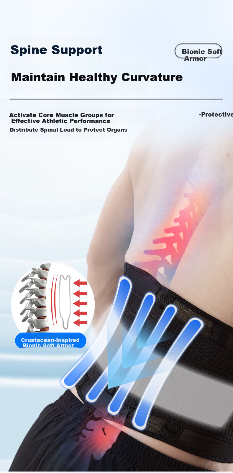 Li-Ning Waist Support Belt for Sports Fitness Lumbar Disc Herniation Lumbar Muscle Strain Long Sitting Running Basketball Deadlift Waist Brace 5