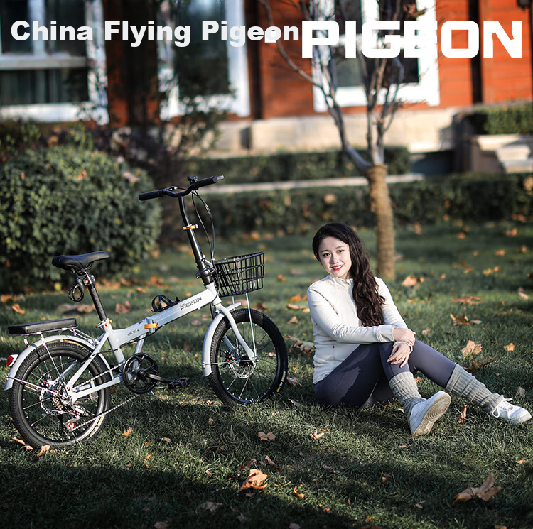 FLYING PIGEON Folding Bicycle 20-inch Unisex Adult Student Children's City Casual 7-Speed Gray 2