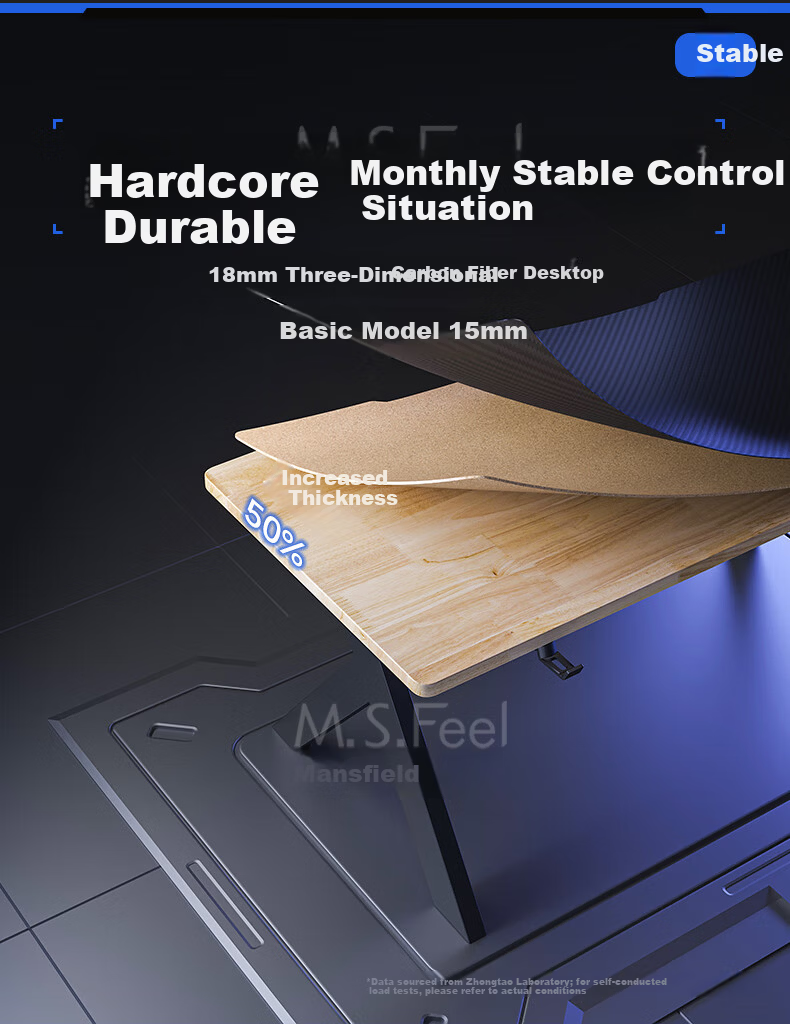 MSFE Computer Desk, Gaming Table X Series, Two-Stage Double-Person Simple Home Desk, Office Study Writing Table 6