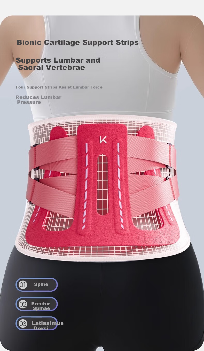 Keep Medical Lumbar Support Belt for Lumbar Disc Herniation, Lumbar Muscle Strain, Prolonged Sitting and Standing, Waist Support, Lumbar Spine Protection for Women 6