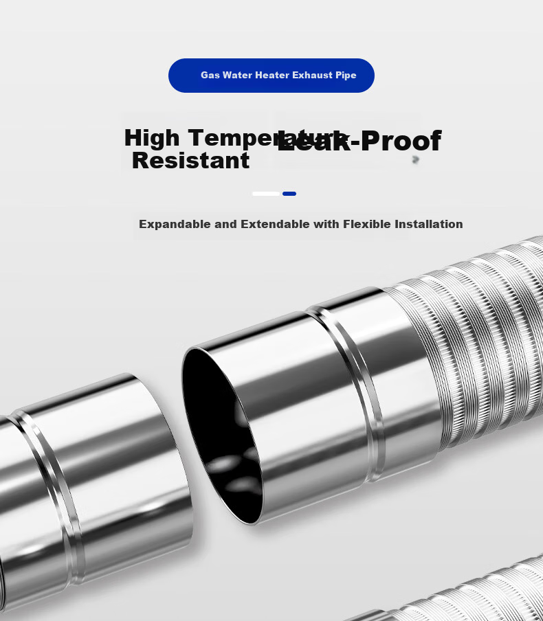 Beishi Stainless Steel Smoke Pipe Forced Exhaust Gas Water Heater Extension Pipe Chimney Pipe Accessories Diameter 60mm Length 30cm Straight Pipe 6