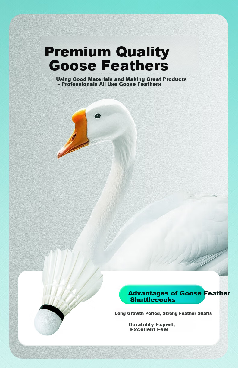 KAWASAKI Badminton Training Grade No.6 Full Round Goose Feather Durable Training and Competition Shuttlecocks 10-Pack 6