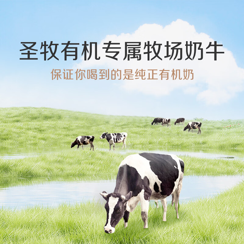 圣牧有机纯牛奶 品醇200ml*12盒 口感清爽 纯净有机 送礼礼盒