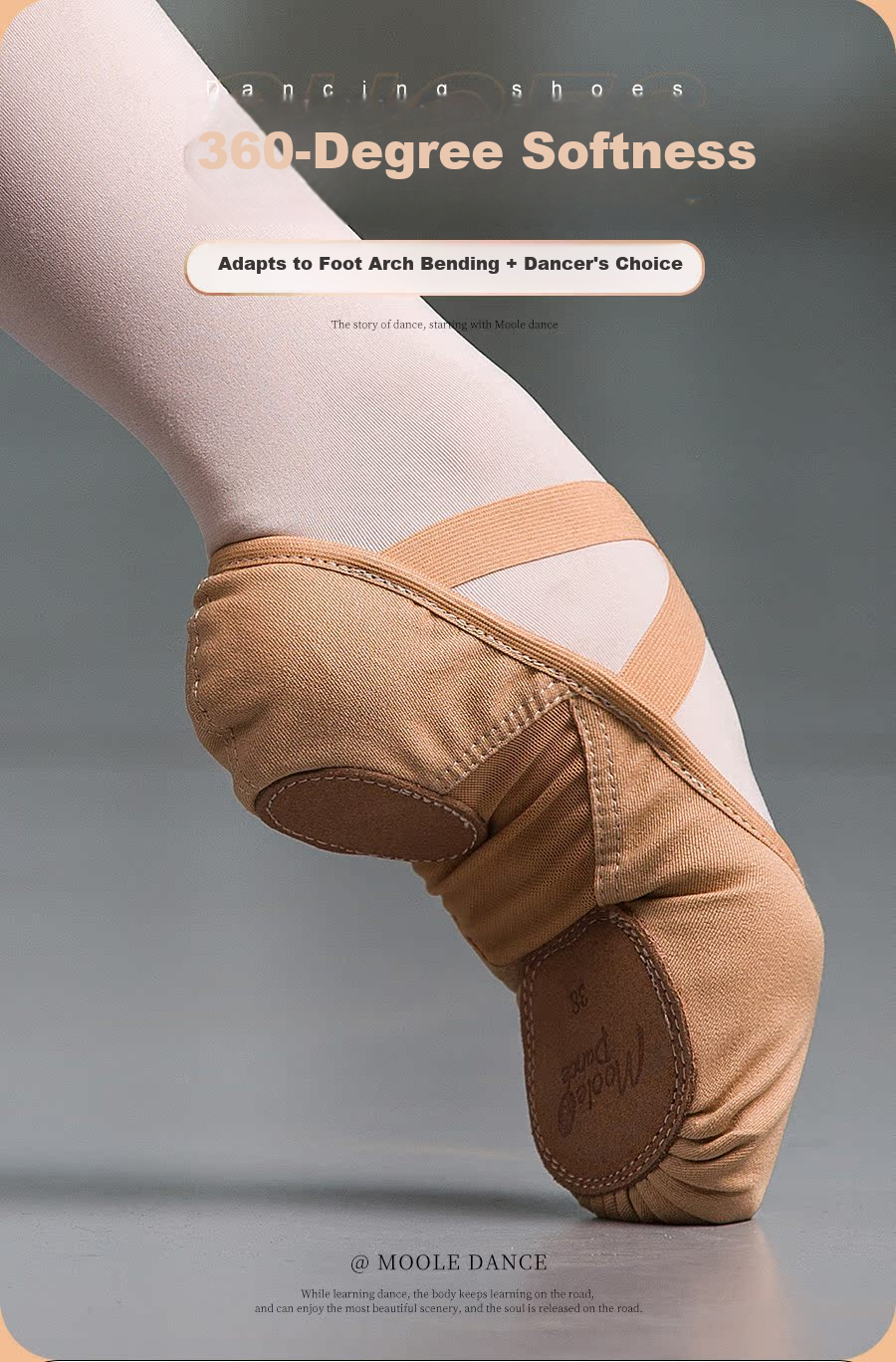 Xiaomoli Dance Elastic Dance Shoes Women Soft Sole Chinese Classical Ballet Practice Children Cat Claw Shoes Mesh Camel Color Size 42 2
