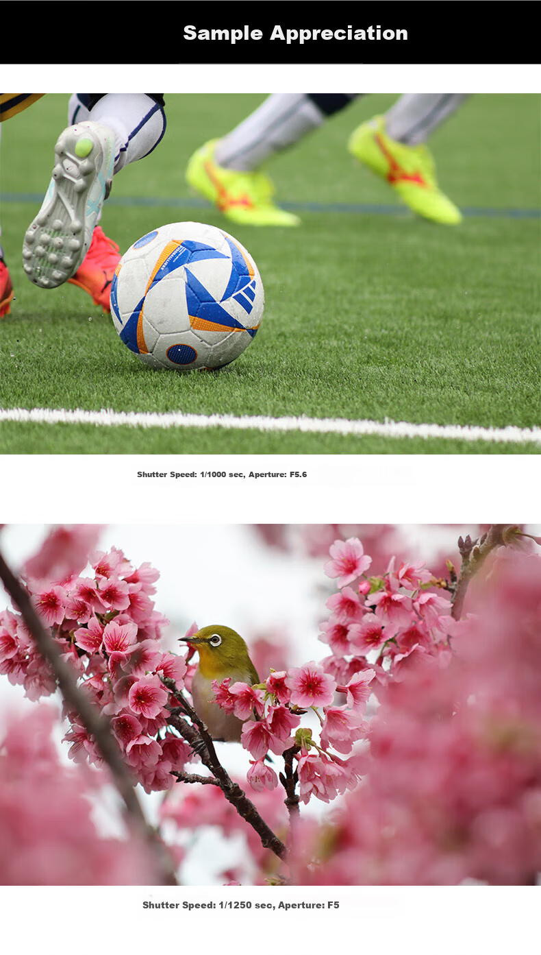 Canon RF 75-300mm F4-5.6 Full-Frame Telephoto Zoom Lens Lightweight Design Suitable for Wildlife/Sports Photography Filter Protection Kit 4