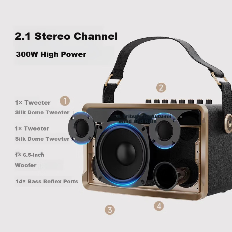 HiVi Portable Smart Bluetooth Speaker Outdoor High-Quality Sound Mobile Square Dance KTV Microphone Karaoke All-in-One Electro-Acoustic Guitar Folk Instrument Speaker MQ6