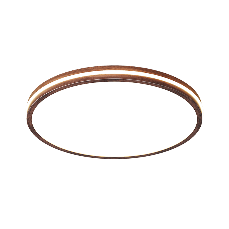 HP Bedroom Ceiling Light Pure Eye Protection Vintage Style High Brightness Children's Room Zhongshan Lighting Zhenzhiguang with Installation