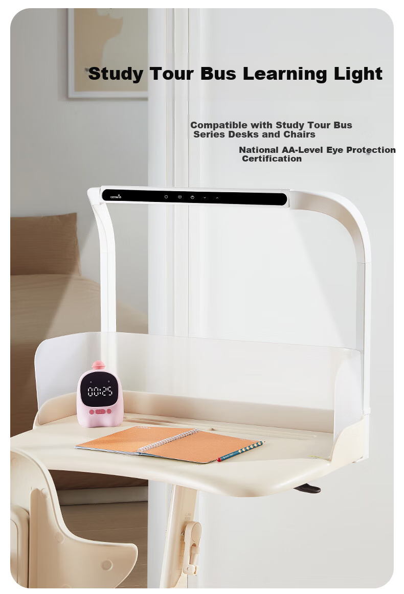 TEN-WIN Children's Adjustable Study Desk and Chair Set, Height Adjustable Writing Desk for Primary School Students, Home Study Table Z2804-5 Gray 20