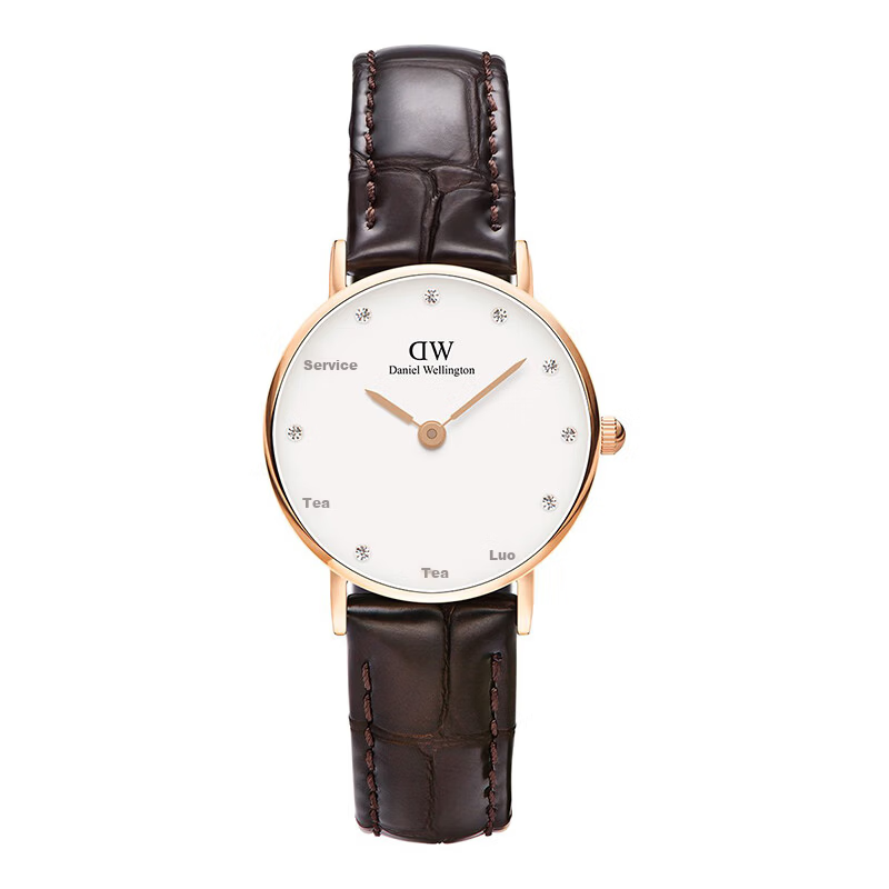 Daniel Wellington Imported DW Women's Fashion Trendy Analog Watch Christmas Gift for Girlfriend 0902DW