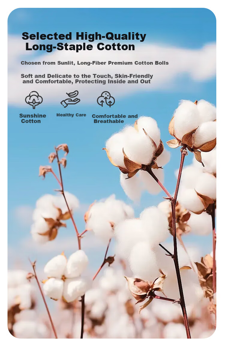 Yiershuang 60s Long Staple Cotton 100% Pure Cotton Women's Vest Round Neck Stretch Narrow Shoulder Base Shirt Female 3