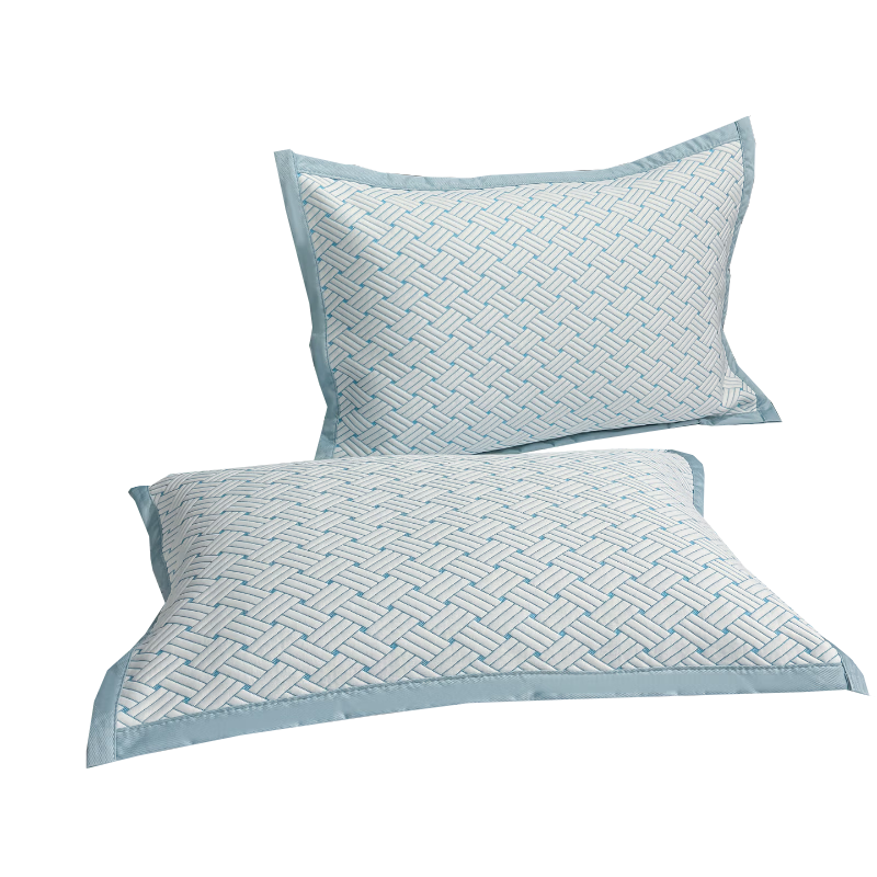 Hongdou Class A Printed Summer Cooling Ice Silk Pillowcase Pair Home Cooling Pillow Cover 48*74cm Blue