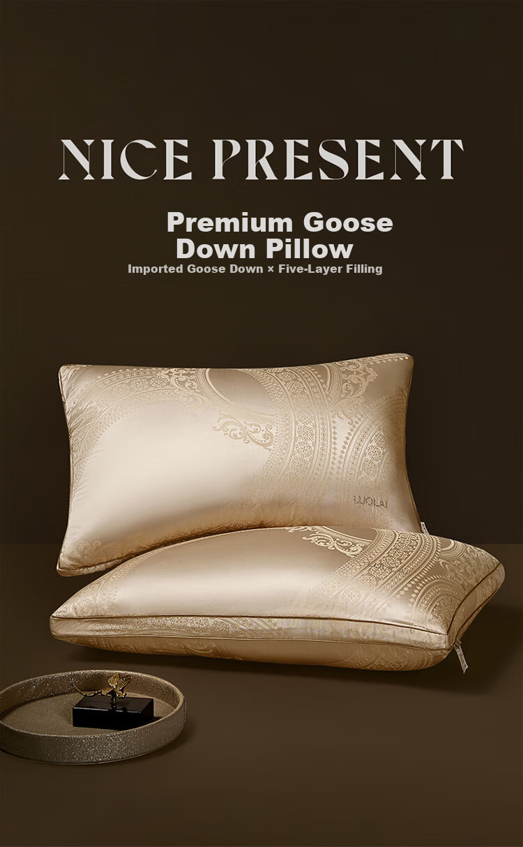 LUOLAI Home Textiles Polish Imported 95% White Goose Down Antibacterial Hotel Seven-Star Pillow 47*73cm 1