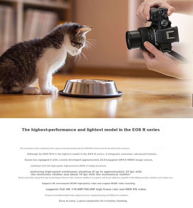 Canon EOS R10 Mirrorless Camera 4K Vlog HD Live Streaming Home Travel Camera RF 50mm F1.8 Portrait Prime Lens Travel Bundle 7