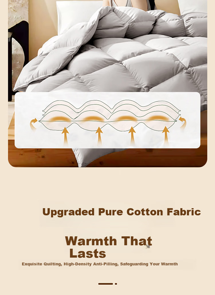 Yuan Life Anti-Feather Leakage White Duck Down Quilt Core Four Seasons Down Quilt Filled with 2300g 200*230cm Gray 10