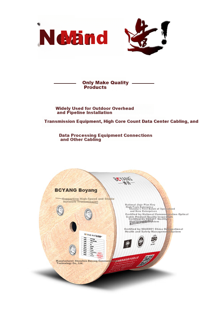 BOYANG GYTA Armored Single-Mode Outdoor Optical Cable 4-Core Communication Fiber Optic Cable Rodent-Resistant Layer-Stranded Outdoor Aerial/Pipeline 1 Meter BY-GYTA-4B1.3-1M 13