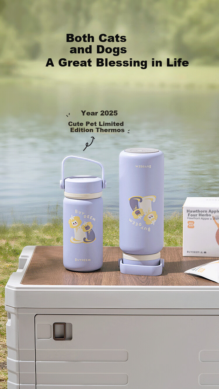 Buydeem Tea Infuser Thermos Cup High-Quality Separation Water Bottle Portable Office Outdoor Unisex Gift 2