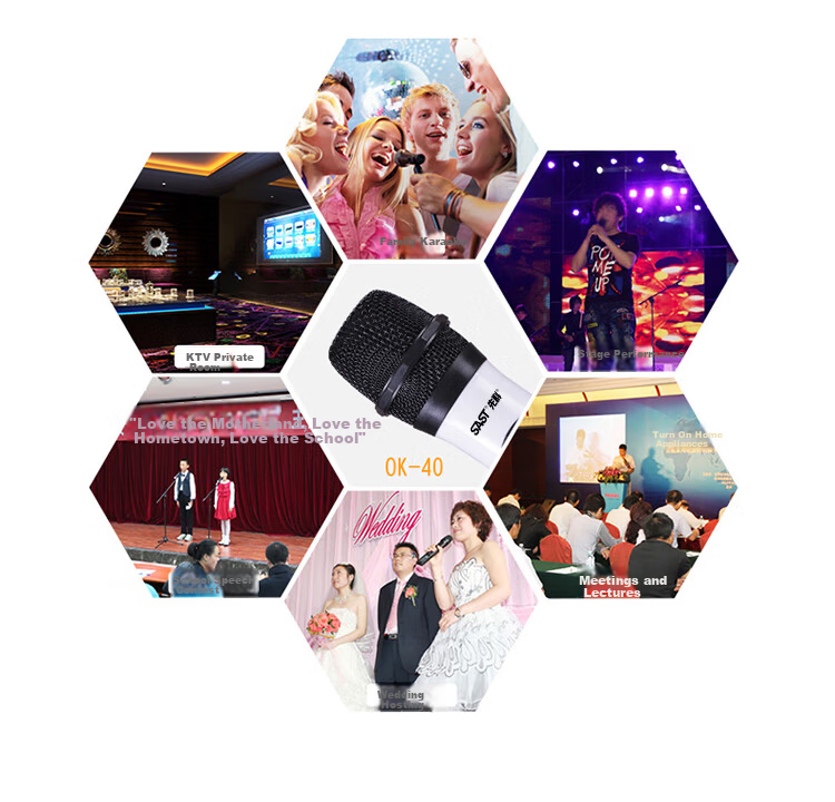 SAST Wireless Microphone System, Dual-Channel UHF Wireless Microphones for Professional Teaching, Performance, Home Karaoke, Meetings, Stage Hosting, And KTV Use 15