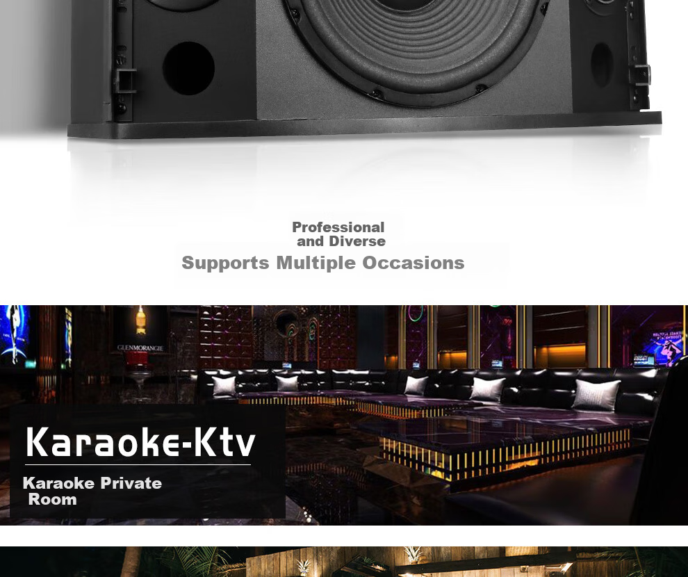 Depusheng D100 10-Inch Home KTV Speaker Professional Karaoke Sound System for Family, Private Rooms, Conference, Bar, Multimedia Teaching, Restaurant Floor-Standing Speaker Pair 8