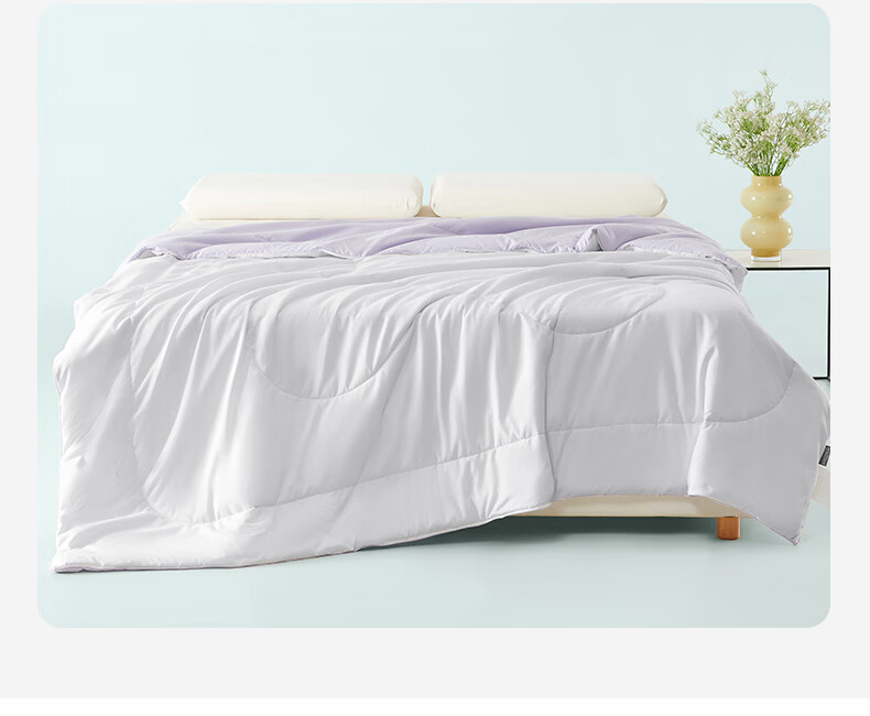 KINTHERI Purple Qi Donglai Air Conditioning Quilt JB-1525 200×230cm 9