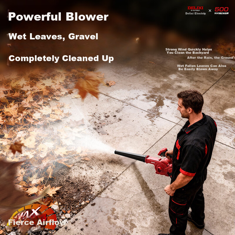 DELIXI ELECTRIC Lithium Battery Blower Snow Blower Dust Removal Household Electric Blower Tool