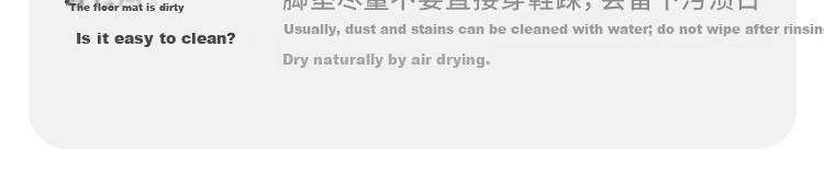 Zichen Hard Diatom Mud Water-Absorbent Bath Mat Non-Slip Anti-Fall Entrance Bathroom Quick-Dry Floor Rug Toilet Carpet 96