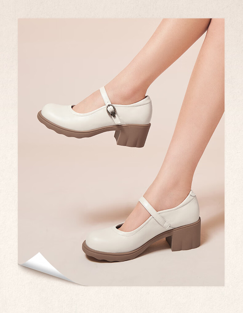 CAMEL Mary Jane Women's Casual Commuter Buckle Strap Chunky Heel Low-Cut Single Shoes L26S504057 Brown Size 40 13