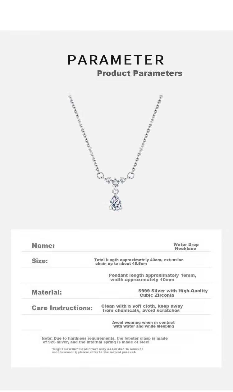 Dijing 999 Pure Silver Necklace for Women Birthday Gift Girlfriend Pendant Clavicle Chain Elegant Minimalist Jewelry 3