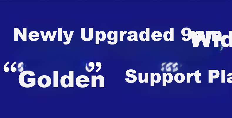 WSPEN German Lumbar Support Belt for Herniated Disc, Thermal Heating Waist Brace for Lumbar Strain, Waist Pain Relief Belt, XXL 10