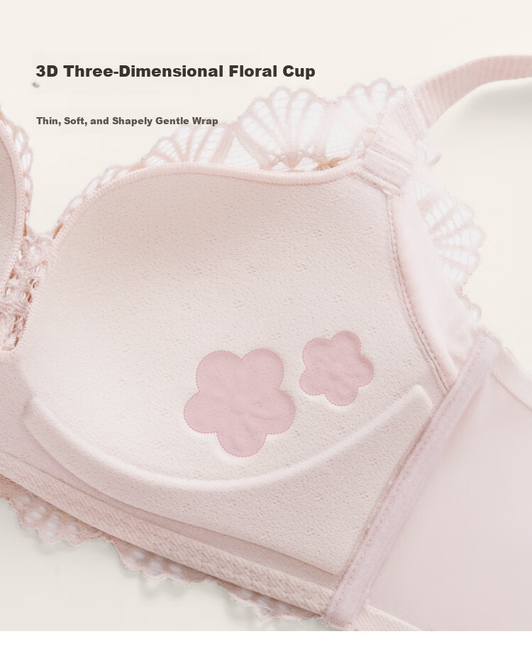 Dushiliren Lace Push-Up New Chinese-Style Bra Set Gift Box, Underwear Panties, Valentine's Day Gift for Girlfriend, 2B22E4 15