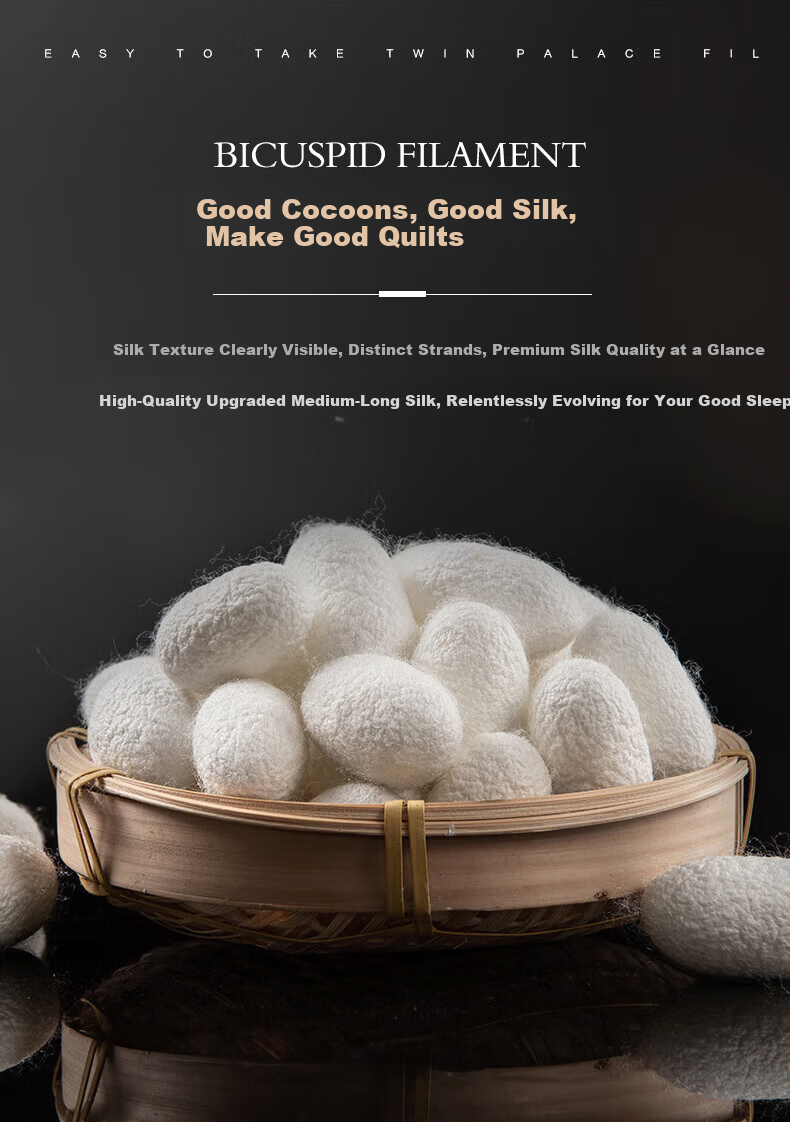 Wuyinliangpin Silk Comforter, Class A 100% Silk Medium-Long Fiber, All-Season Spring And Autumn Quilt, Air Conditioning Comforter Insert, 150*200cm, Approximately 3.7 Ji 2