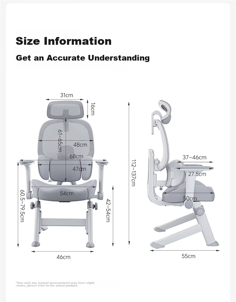 Xige X19ypro Ergonomic Study Chair Desk Chair Computer Chair for High School Students Youth Home Writing Desk Chair 24
