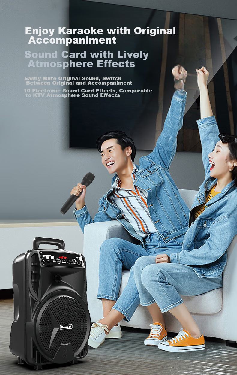 Newmine N557 Square Dance Speaker Outdoor High Power Portable Trolley Loud KTV HiFi High-Quality Bass Elderly Gift 9