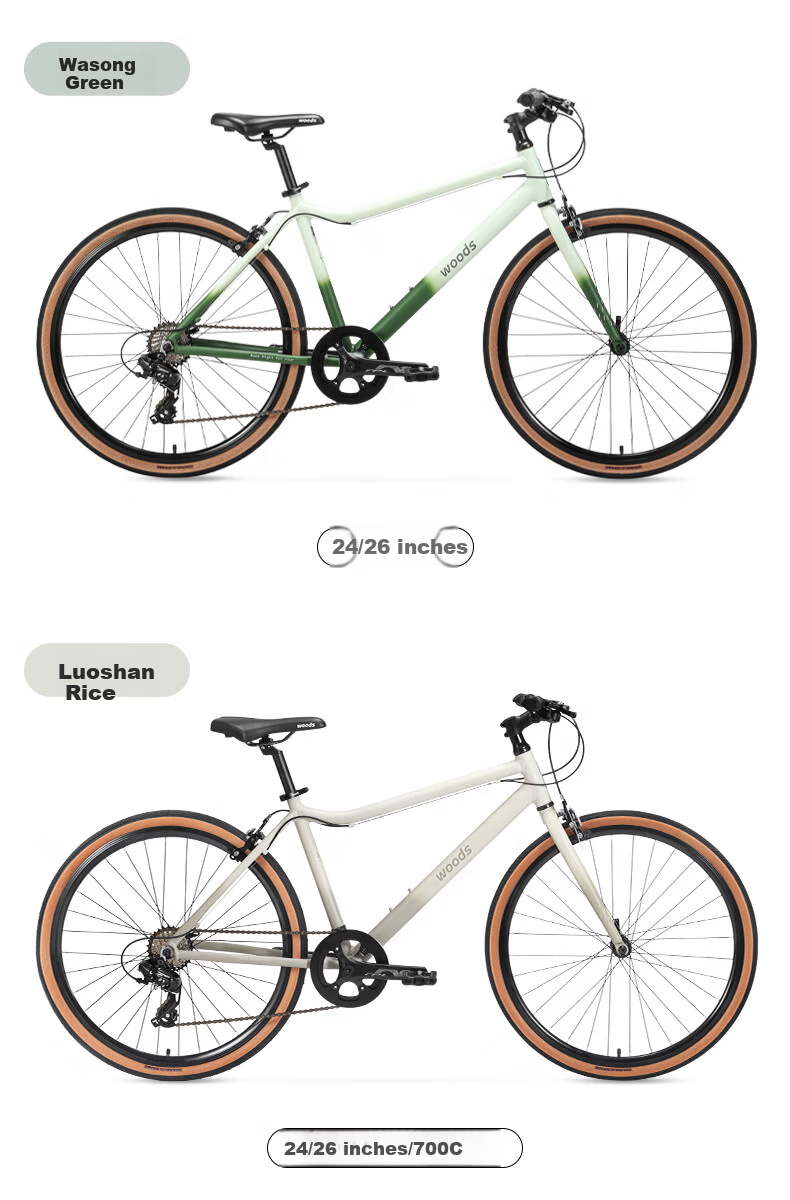 Xiaosenlin Woods T100 Aluminum Alloy Commuter 24-inch Gear Lightweight Vintage Bicycle Unisex 19