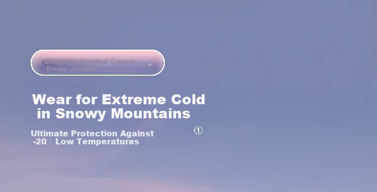 BOSIDENG Off-Season Extreme Cold Goose Down Thickened Hooded Unisex Couple Ultimate Warmth Mall Same Style Down Jacket 2