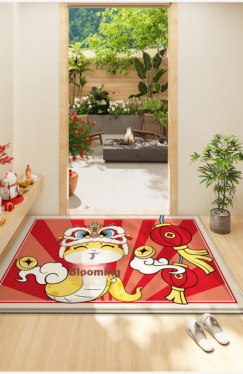 Dajiang Safe Entry Door Mat 2026 New Arrival Entrance Floor Mat 60x90cm 9