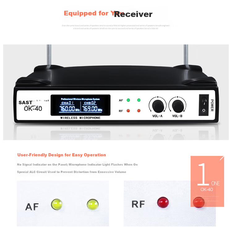 SAST Wireless Microphone System, Dual-Channel UHF Wireless Microphones for Professional Teaching, Performance, Home Karaoke, Meetings, Stage Hosting, And KTV Use 12