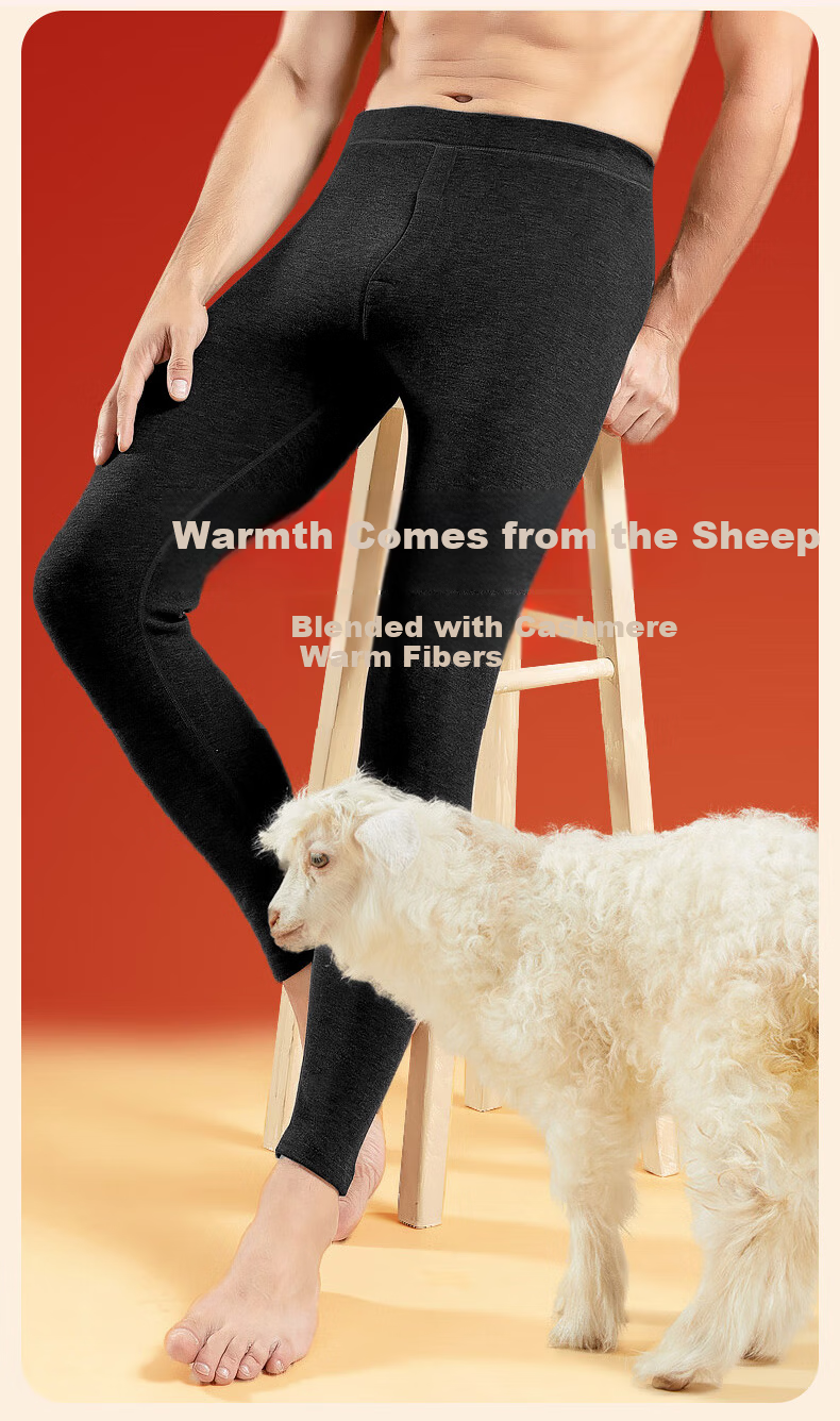 LangSha Men's Thermal Long Johns 2-Pack Wool and Silk Blend, Grade 10 Antibacterial, Anti-Mite, Anti-Static, Fleece-Lined Warm Pants 2