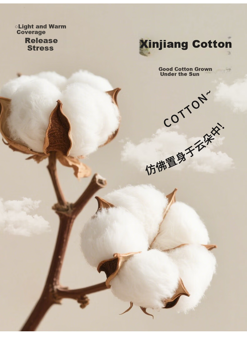 Grace 10A Antibacterial Xinjiang Cotton Quilt Double Home Use Four Seasons Cotton Quilt Core Autumn Winter Quilt 200*230cm 6 Jin 12