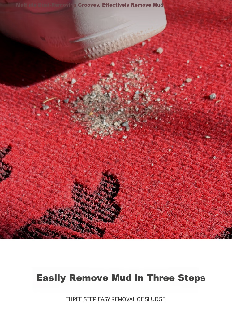 Bodisi High-End Entrance Door Mat Non-Slip Doorway Rug Outdoor Safety Floor Mat 90x60CM 6