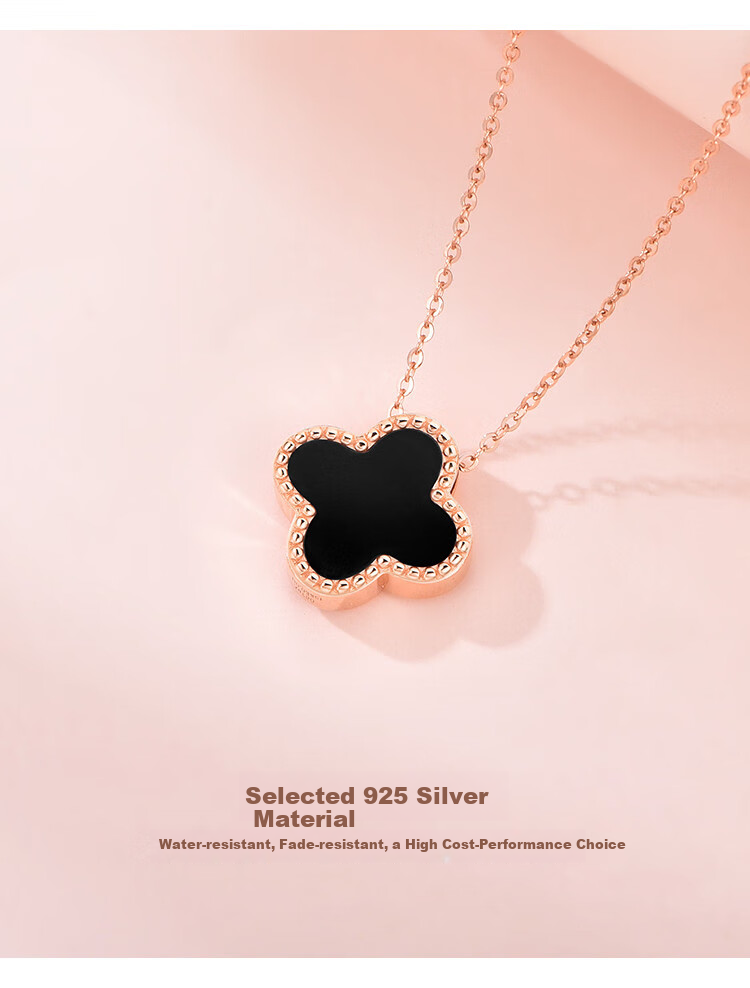 Aideyueding Luxury Diamond Double-Sided Four-Leaf Clover Necklace for Women, High-End Birthday Gift for Girlfriend Or Wife, Anniversary Present 5