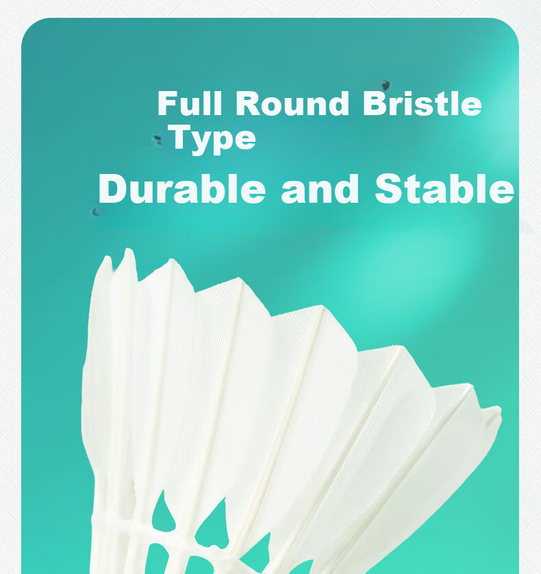 KAWASAKI Badminton Training Grade No.6 Full Round Goose Feather Durable Training and Competition Shuttlecocks 10-Pack 4