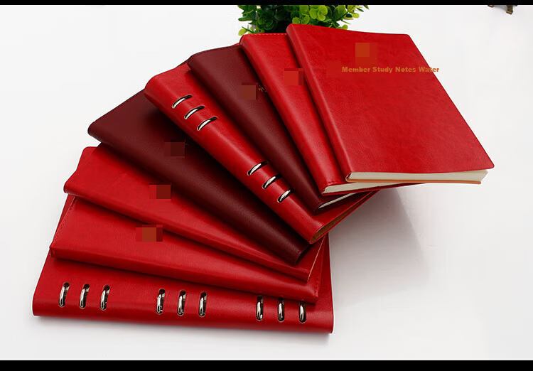 Xuchenwenju Party Member Study Notebook, B5 Red-Brown Color, 100 Sheets, 200 Pages, Faux Leather Cover, Unit Journal, Meeting Record Book, Party Building Work Education, Customizable Logo Printing Available 16