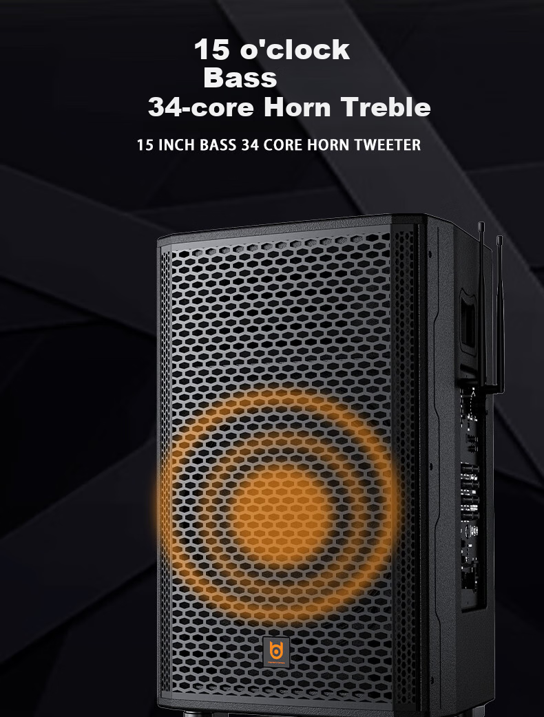 Beide BD-H0879 8-Inch High-Power Trolley Bass Outdoor Portable Square Dance Speaker 8