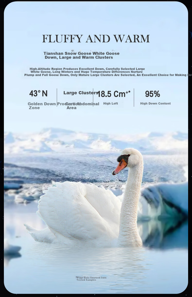 Luolai Home Textiles Down Quilt A-Class 95% Washed White Goose Down Aerospace Temperature Control Thickened Winter Quilt Core Approx. 5.8 Jin 3