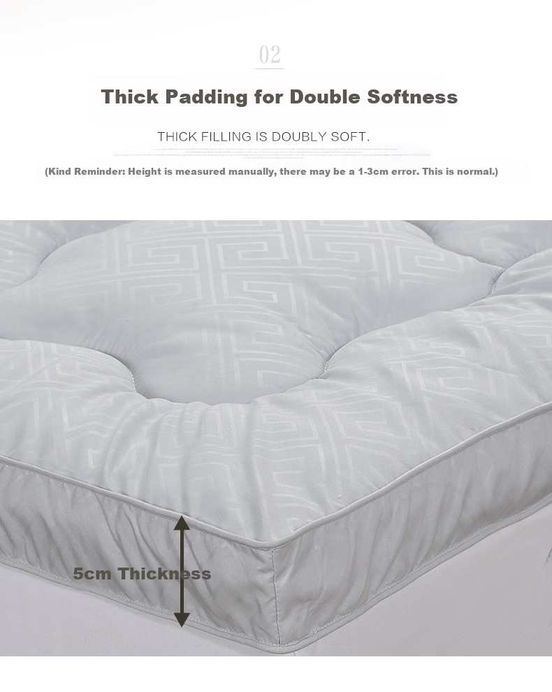 Fuanna Mattress Protector Non-Slip Thickened Washable Mattress Pad Single Tatami Mat 120x200cm 5