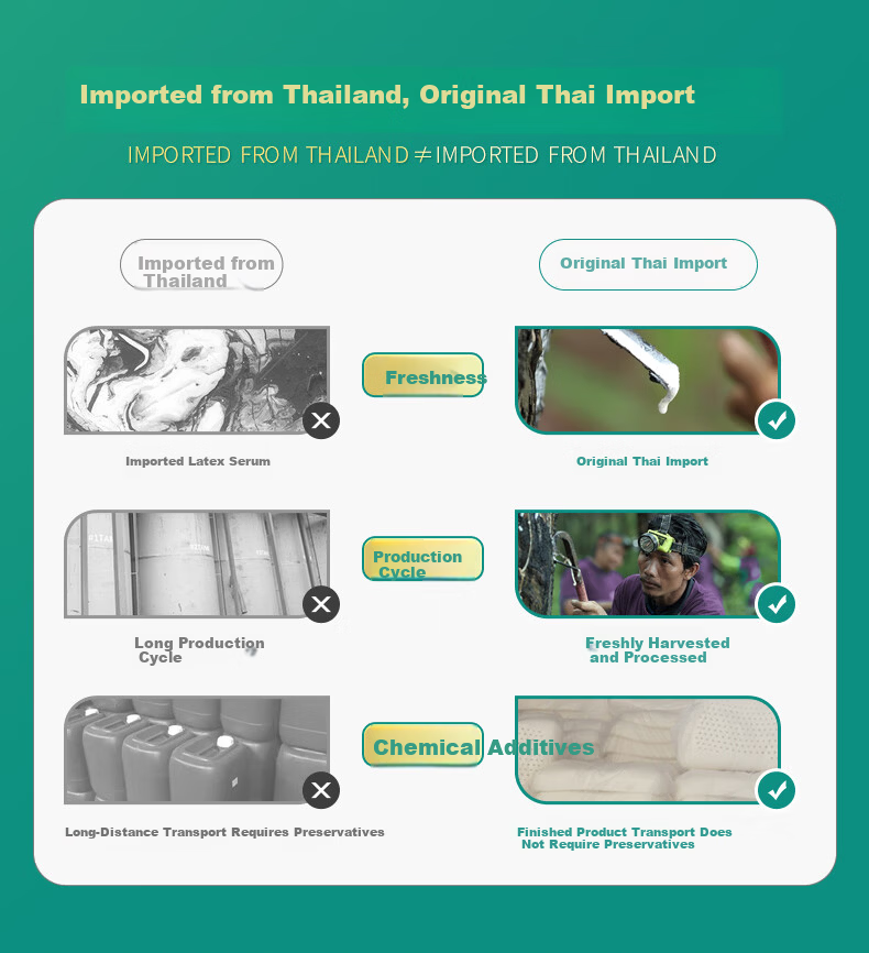 JaCe Natural Latex Mattress Thai Imported Core Latex Mattress 95% Natural Latex Low Noise Zero Pressure 95D 1.5m 5